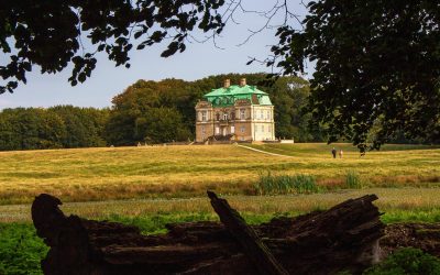 Gode naturoplevelser ved København